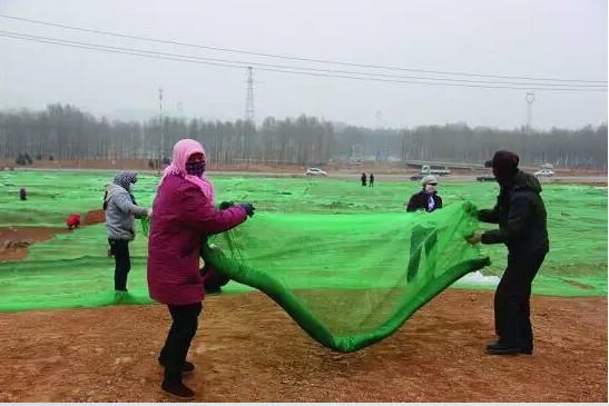 3773406910_1341334152