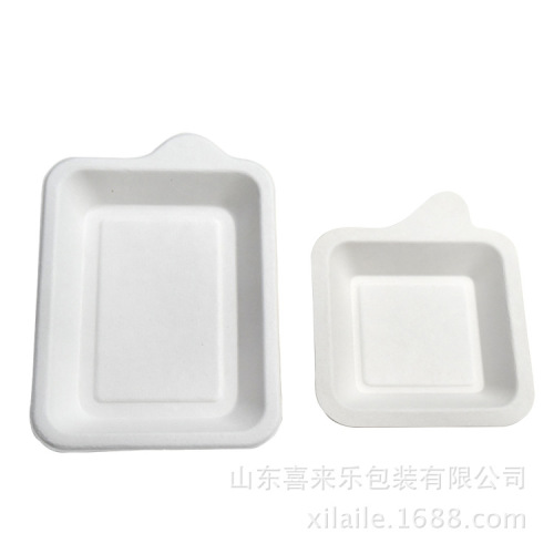 Sugarcane Pulp Biodegradable Dinner Plate Disposable Tableware Cake Plate Cake Tableware Square Paper Plate Wholesale Picnic Plate