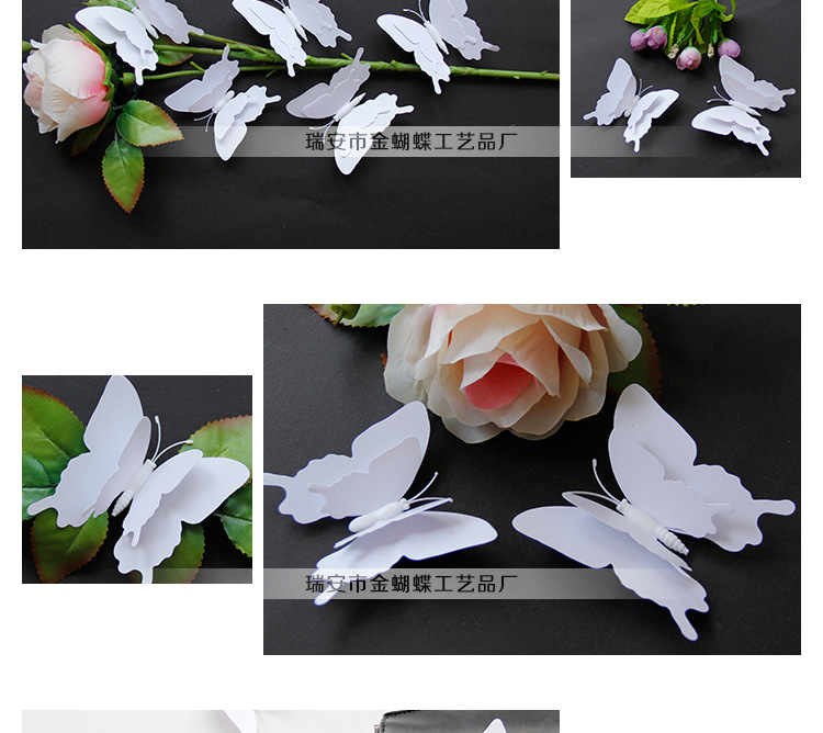 阿里巴巴-白蝴蝶单规格_06