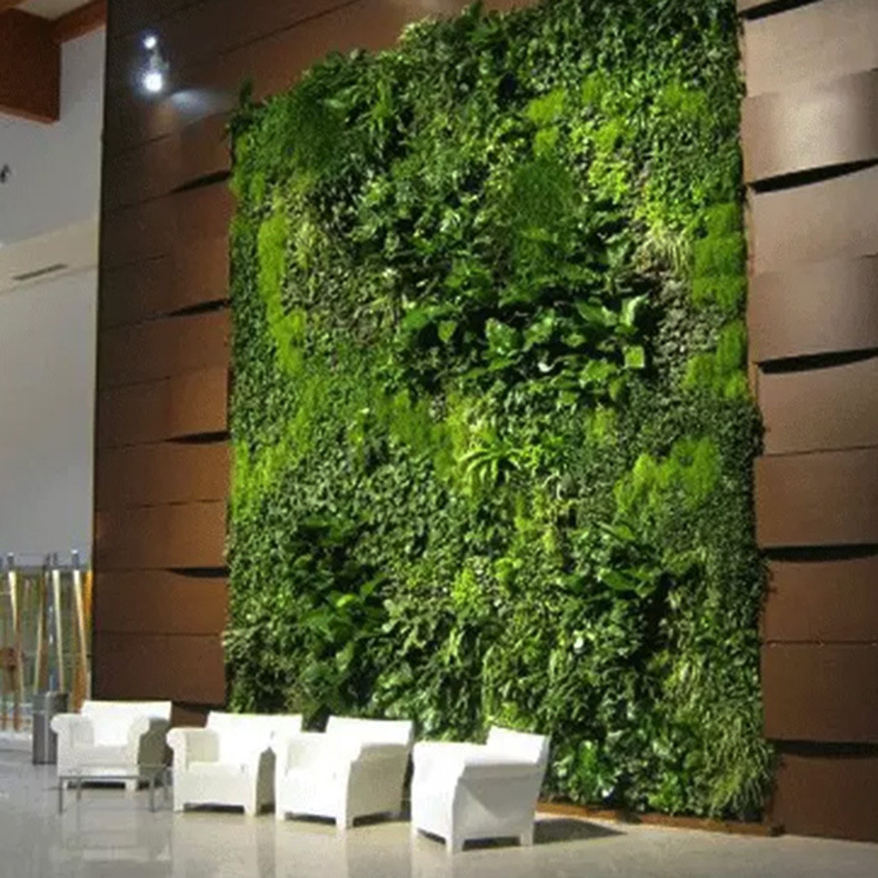 ����ֱ��������ף��ǽ���ղ���԰�����;�����������ǽ