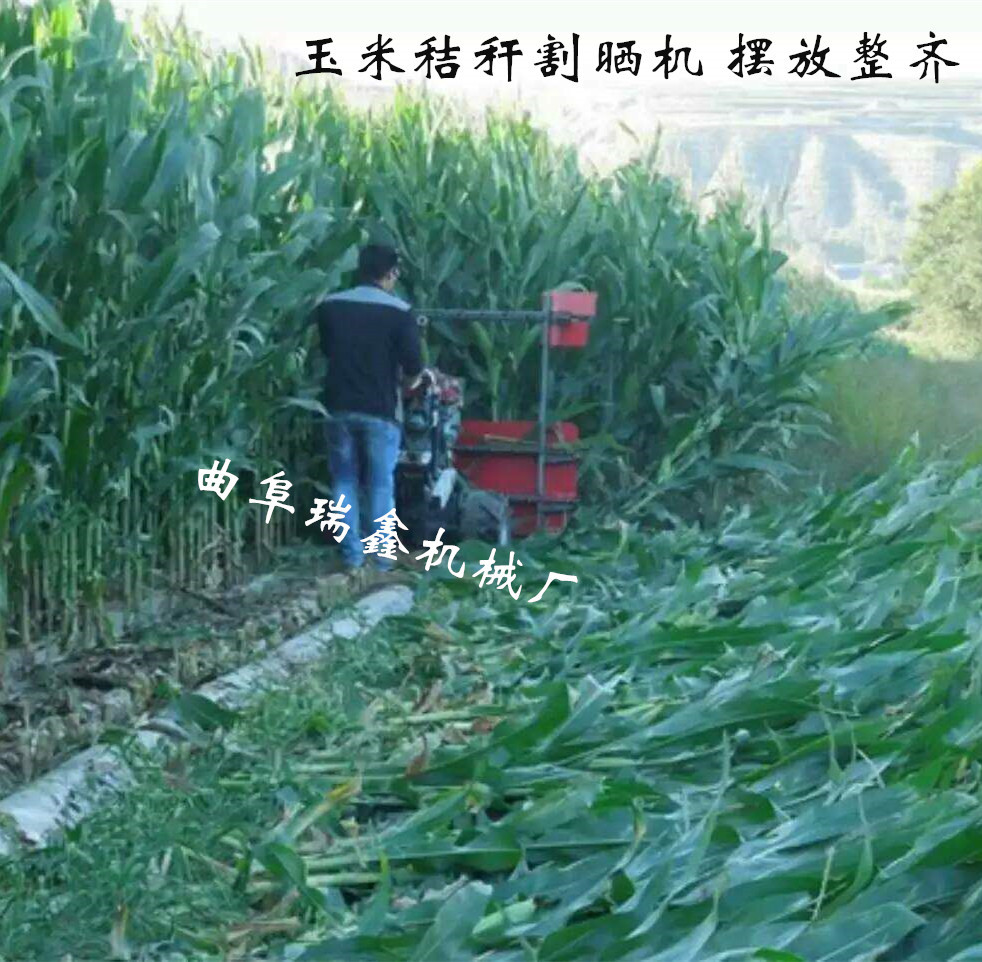 籼稻晚稻割晒机 生产销售芦苇割晒机 开封