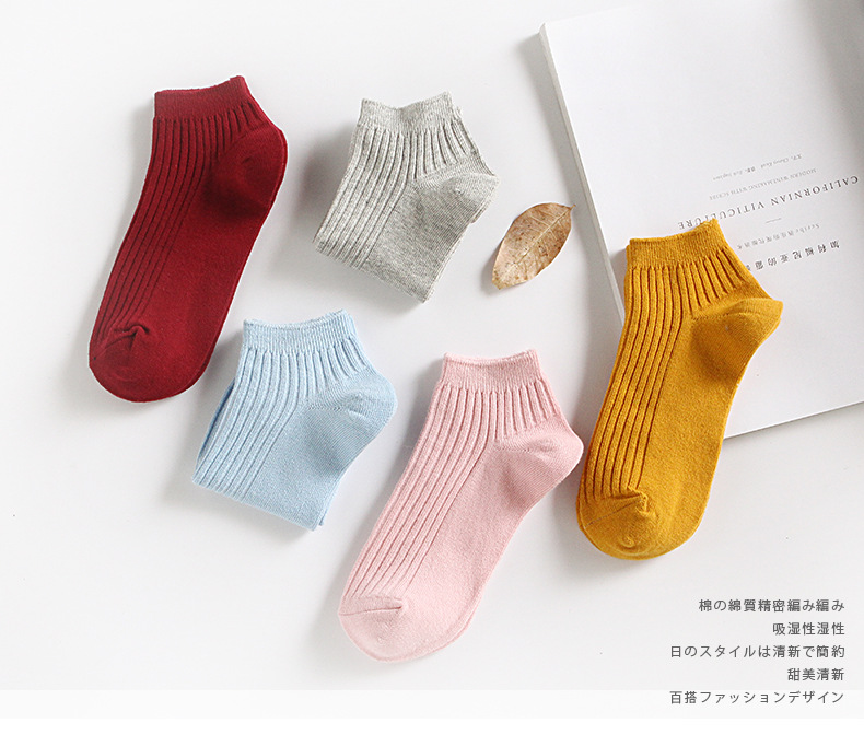 h26Qiv6hyNTv/MvD3ktXwJfjKUib2+4RvVEk