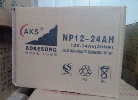 奥克松蓄电池12V24AH 德国AKS蓄电池12V24AH UPS蓄电池
