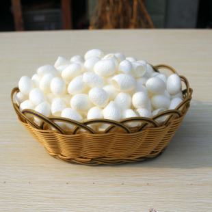 P9���|�����O�Q�z�������O�Q�OϴĘ�o�w�F؛�S�����lֱ�N����