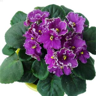 ���_�m�N�� �ļ��� �������� �̨ͥԺ���ԾGֲ�׷N���ܷN��