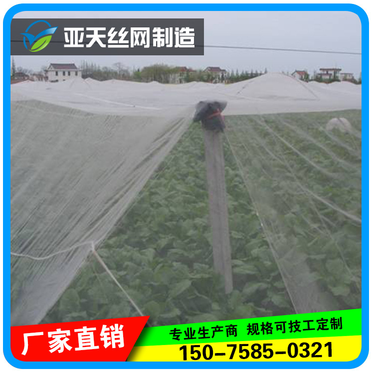 贵州厂家供应 尼龙网尼龙网纱尼龙丝网尼龙过滤网 质优价廉