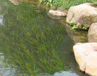 �N�ۣ� �L���.