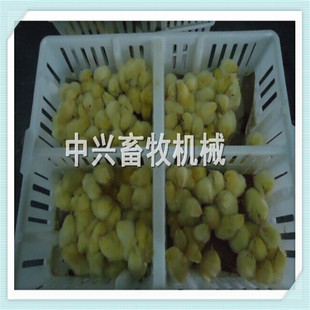 С�u���� ���r�� ���r�u���� �����u�����¿�