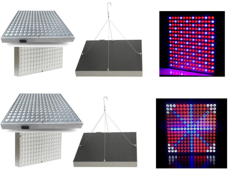 LED 植物灯 双芯45W 植物生长灯 全光谱植物补光灯led grow light