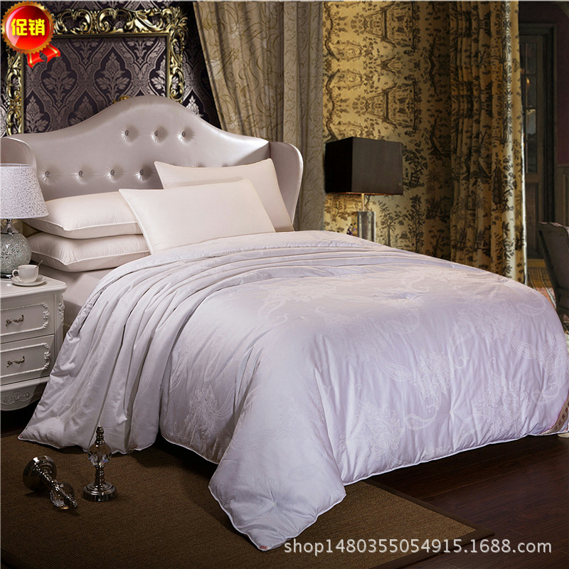 6080 Satin jacquard Winter quilt Cotton mulberry silk quilt thickening wholesale Double Spring and autumn quilt On behalf of