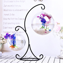 創意透明玻璃小魚缸辦公桌小金魚桌面斗魚缸迷你鐵架吊掛懸掛花瓶