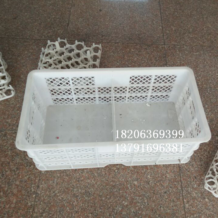 厂家批发隔板式多用筐 鸡蛋周转筐 鸡蛋长途运输筐