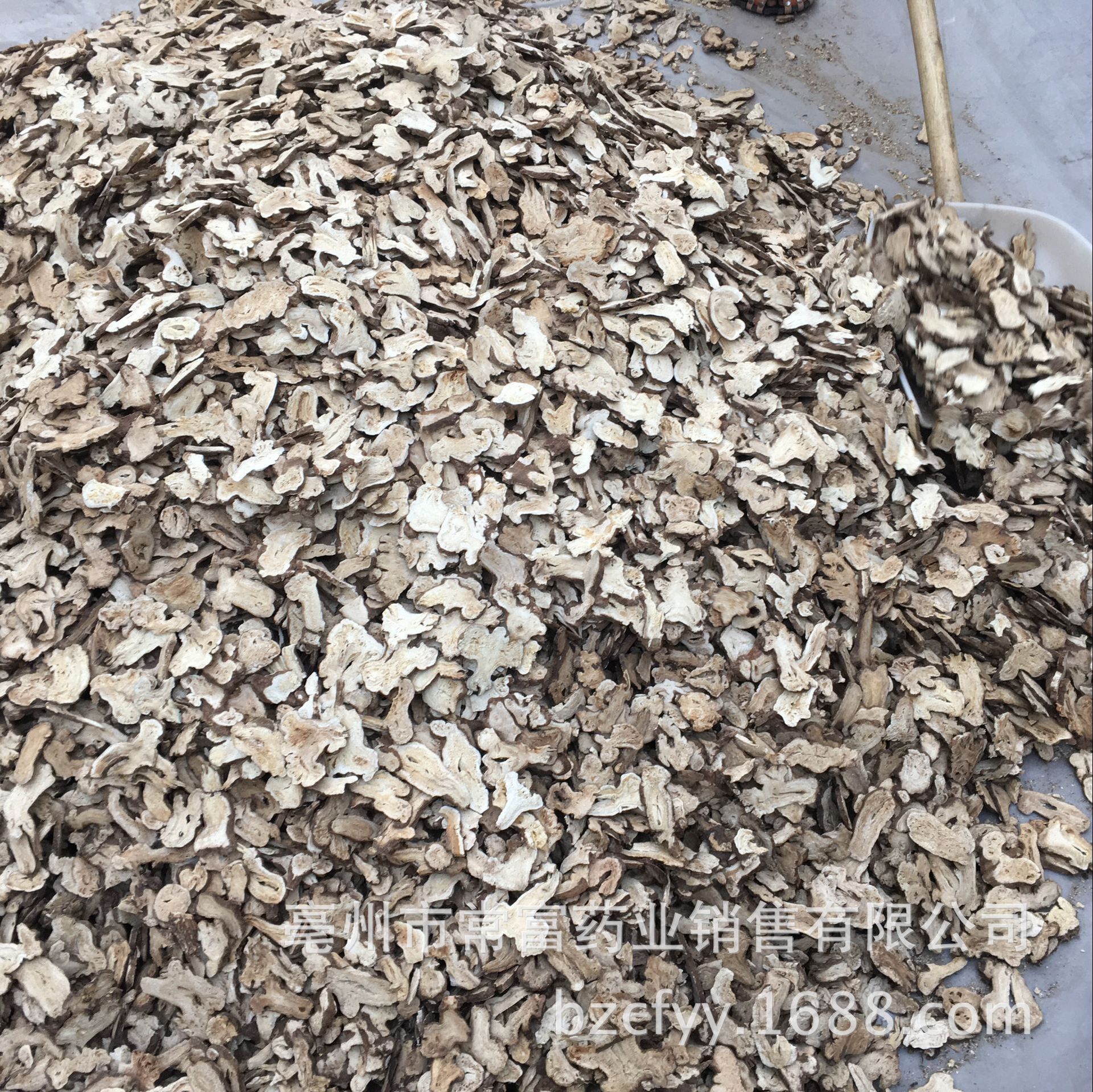 Dried White Atractylodes Rhizome Slices Bai Zhu 500g Traditional TCM Herb for Decoction and Soup specifications