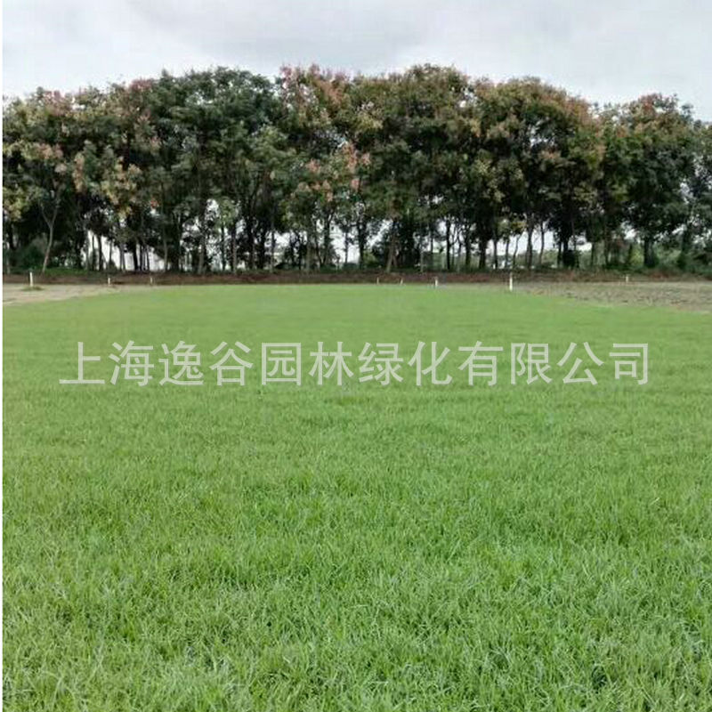 A01F53B2494D42274009D9BA9E9267