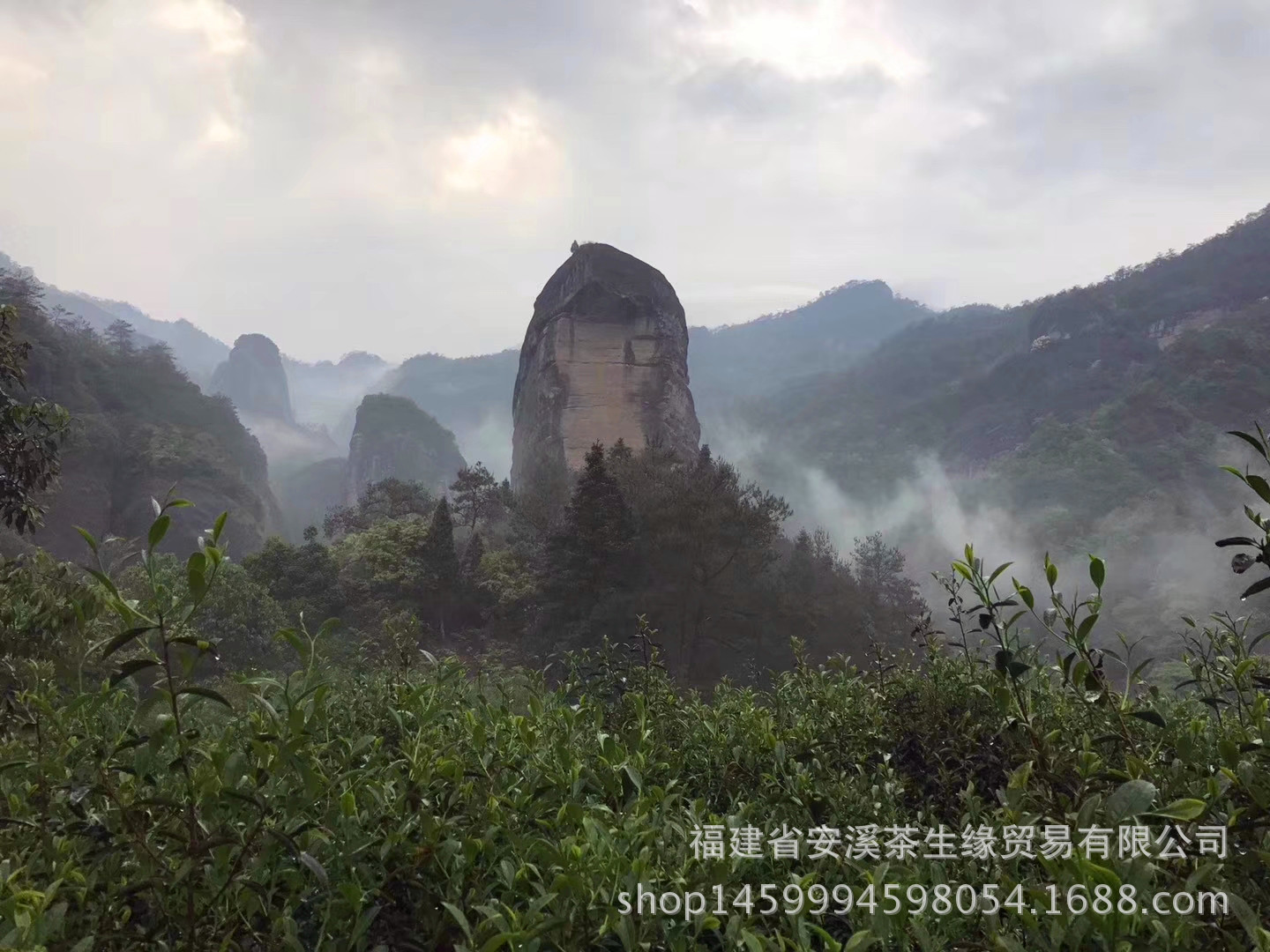 mmexport1510885719774