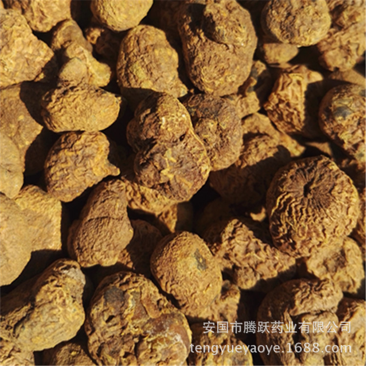 Corydalis Yanhusuo Rhizome Dried TCM Herb Yuan Hu 延胡索 500g Bulk Pack key features