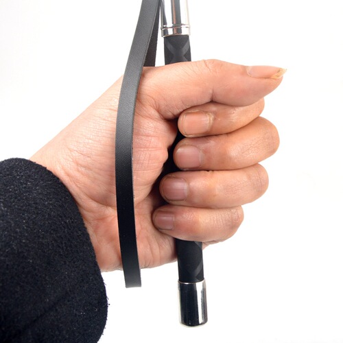 Training Supplies for Dogs, including Dog Whip, Pet Training Tools, Dog Training Staff, Training Whip, Training Supplies, Numbing Stick, Dog Training Device, Training Staff