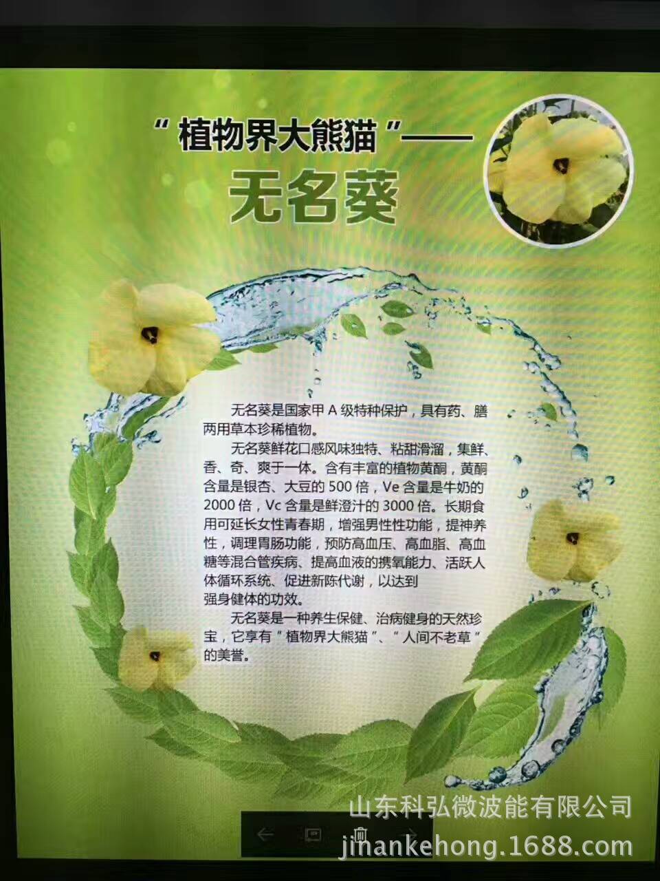 微波无名葵烘干机