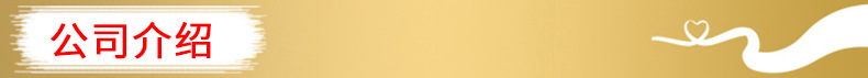 公司介绍
