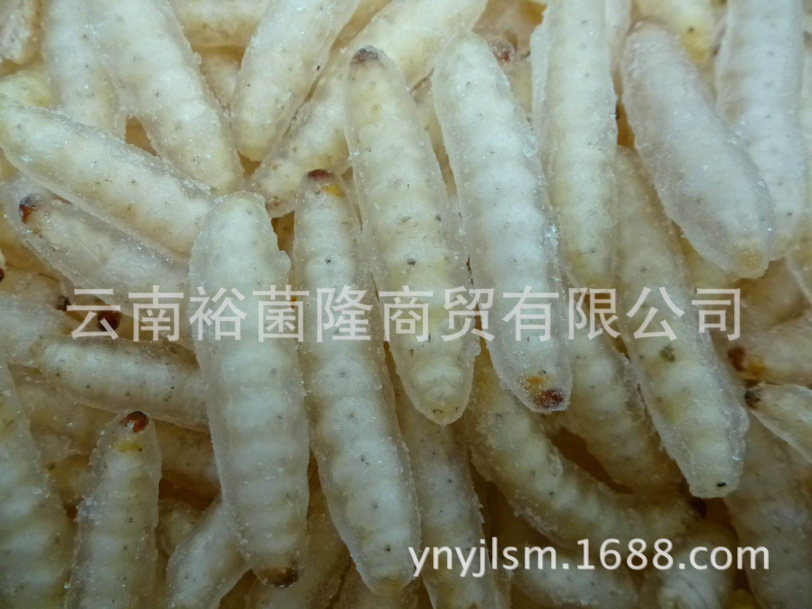 P1100256