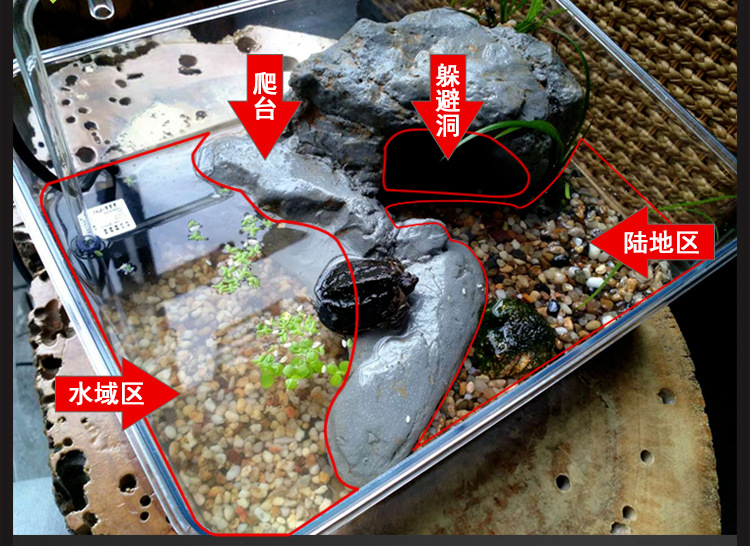 水陆龟缸1