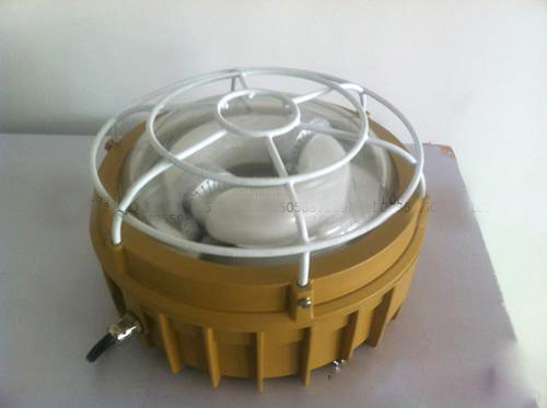 SBD1107-QL50免维护防爆吸顶无极灯 XQD1107吸顶式防爆灯