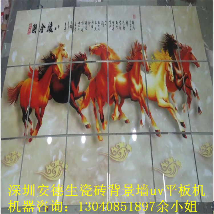 背景墙彩印实物图 (18) - 副本