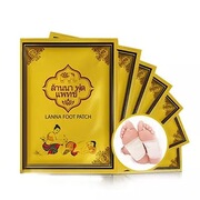 ʼƷ ̩ lanna Ȼֲ䷽ȥʪ