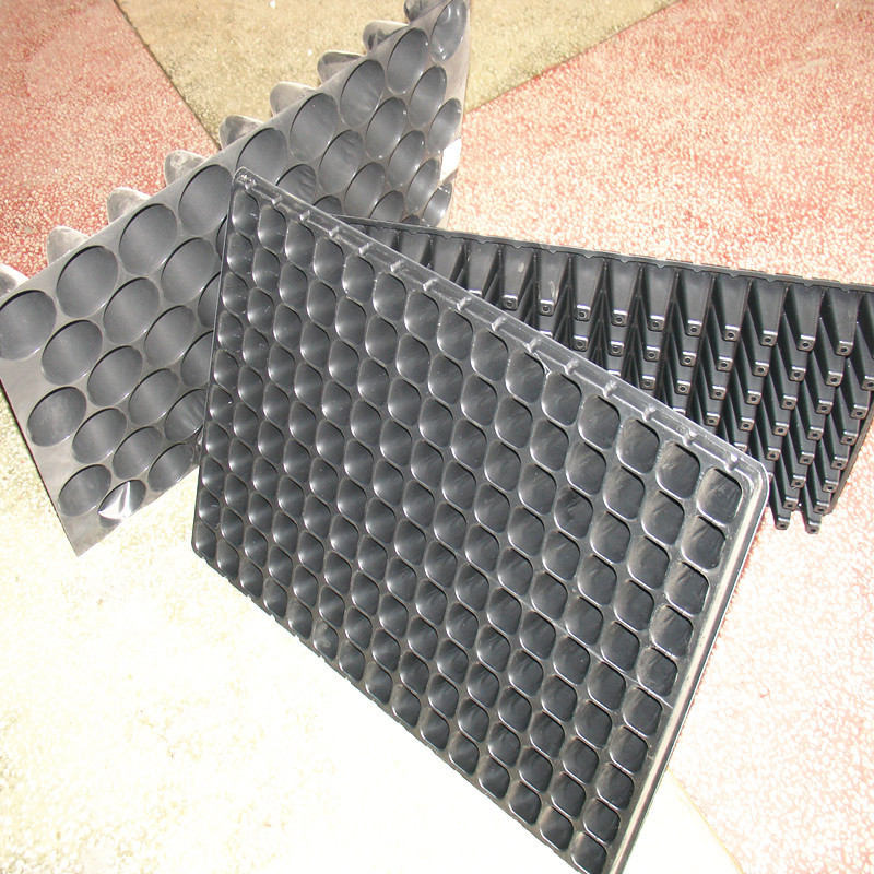 厂家直销批发各种孔数规格塑料育苗盘可育种苗单株双珠