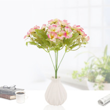 ��������m���ϻ����ԼҾ��k�����bߙn�������Ĕz����ֱ�N���l