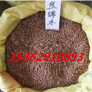 ���l�z�dľ�N�� �z�dľ���� �lѿ�ʸ� �z��ľ�޽��lì ����ă�