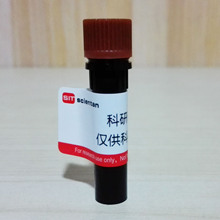 Acetyl coenzyme A/oøA 102029-73-2 Sigma A2056 1mg