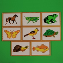 �R/�B/����/�~/���x/����/����/΁ţ�˷N������ʌWǶ���������