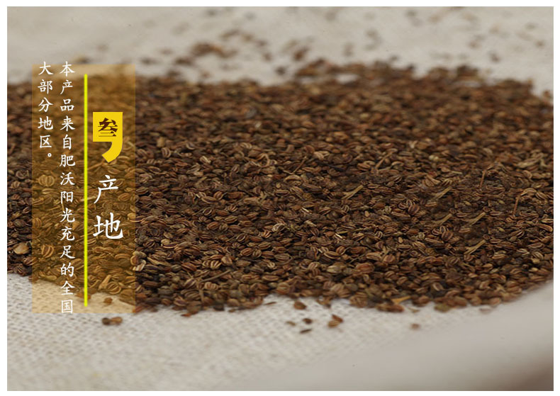 Lightly Roasted Celery Seed Bulk Dried Apium graveolens for Herbal Decoction and Culinary Use key features