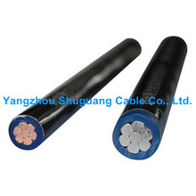 �L�ڹ��� �����~�ܾ� �X�ܾ�BV+BLV�͉���| �əz�y