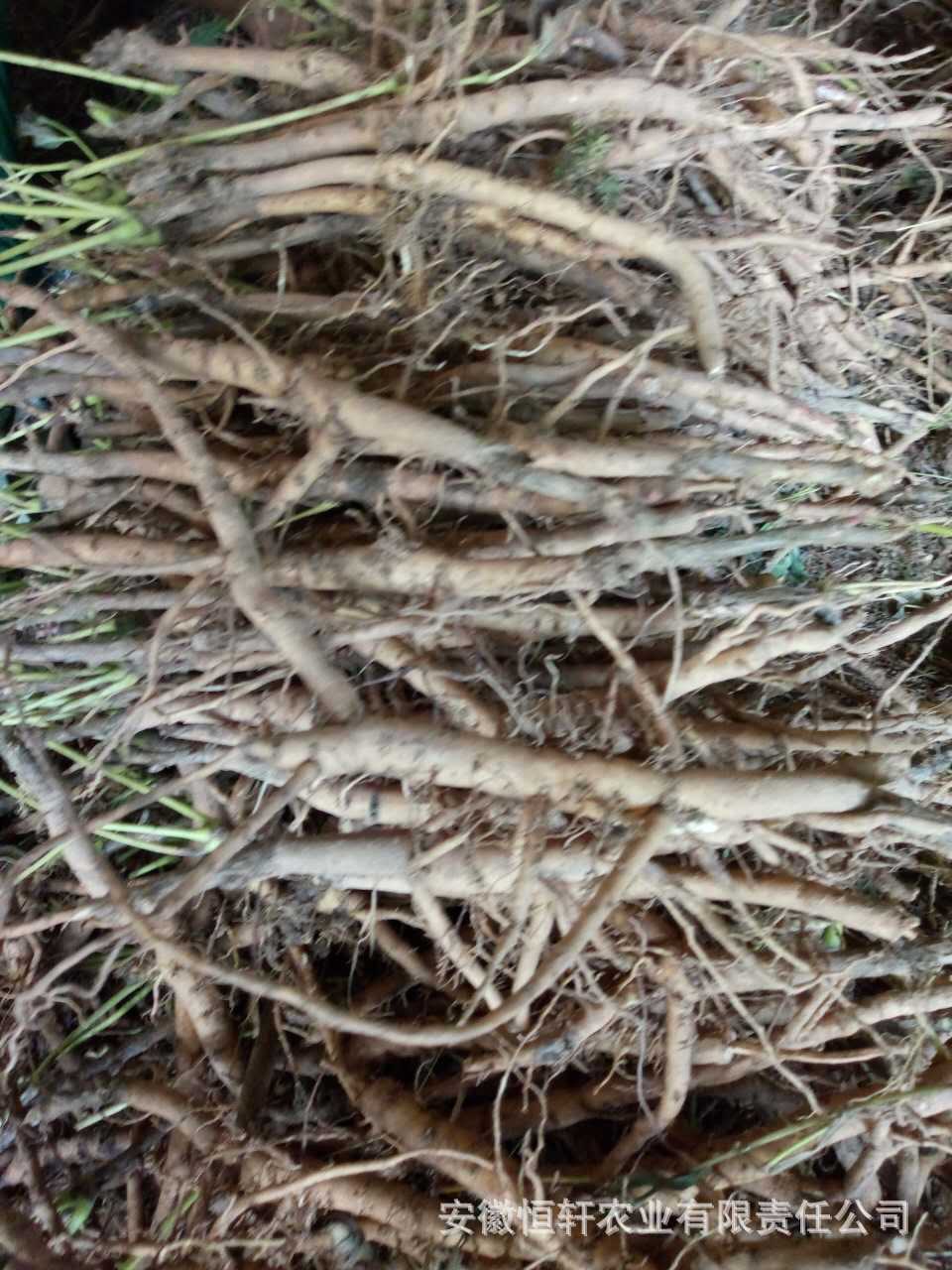 微信图片_2017090512254815