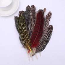 厂家批发彩色野鸡珍珠羽毛 窝领鸡毛DIY饰品工艺品服装辅料装饰