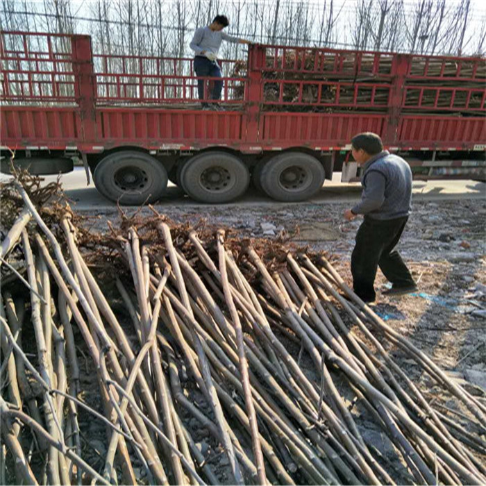 DC3295911B149EC70AA16EB3EBFD2F