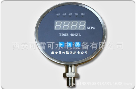 电站压力变送器TDSB-484ZL、智能压力变送器TDSB-484ZL元件名称