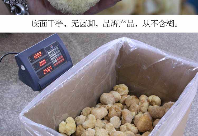 猴头菇-详情图al_11