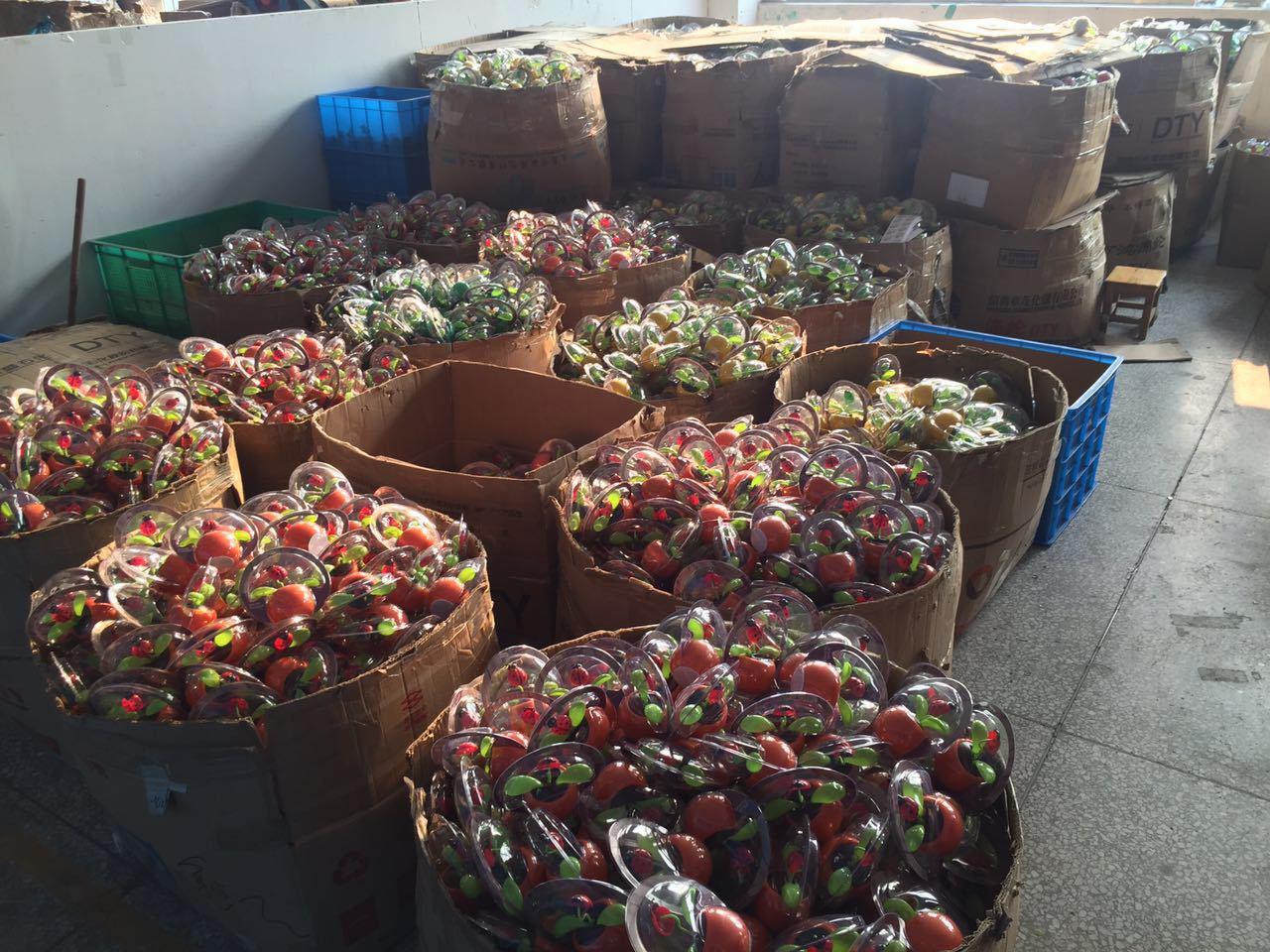 CB6F045ED8ECF1D05D200015EED002