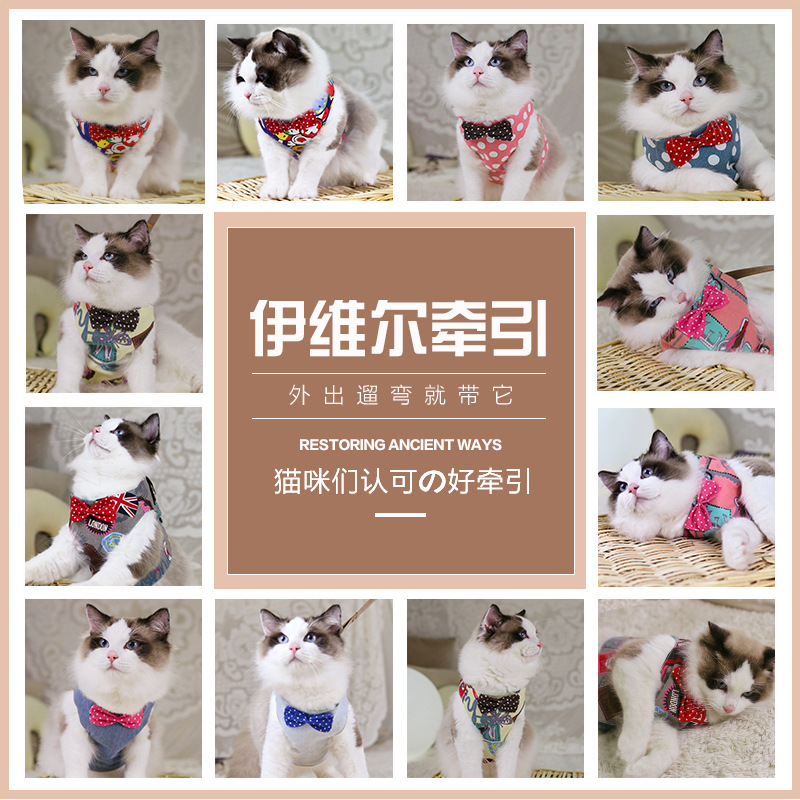 道顿猫咪牵款猫胸背带背心式猫绳猫链猫胸背牵引绳衣服跨境拴猫绳