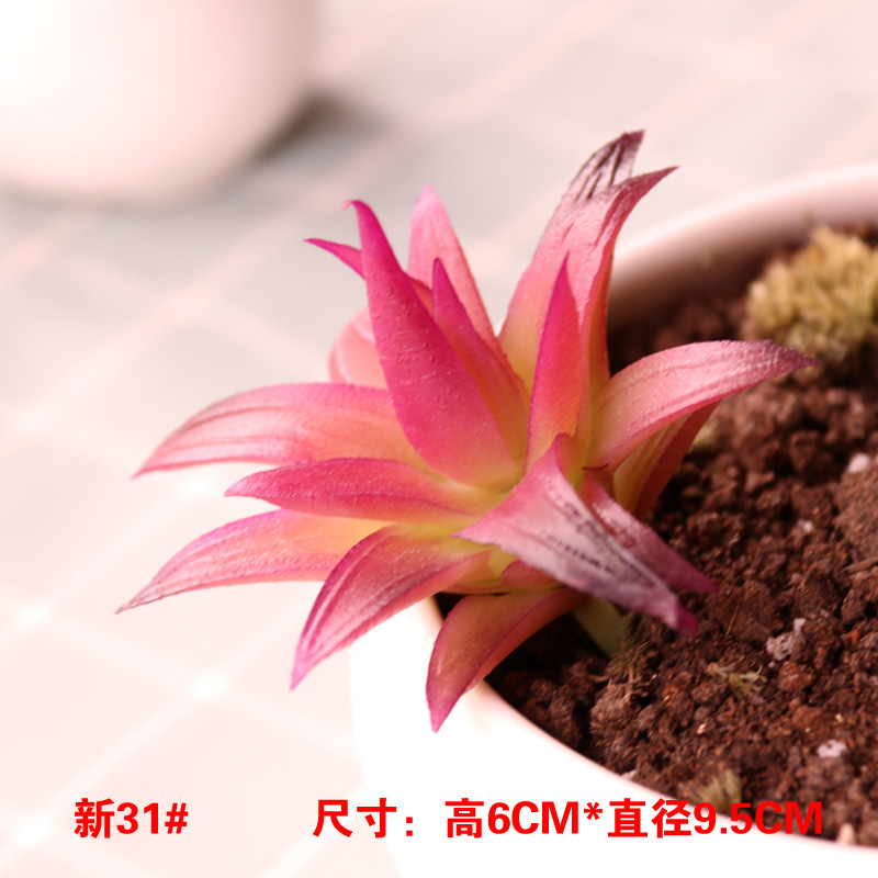 シミュレーション多肉植物卸売り小多肉優品偽緑植壁室内外装飾組み合わせ植毛リアル肉