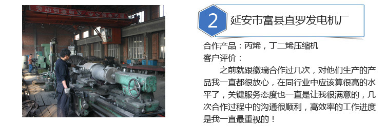 New Ammonia Compressor 2.0 Direct-Connected Special Gas Compressor Piston Refrigeration Air Compressor