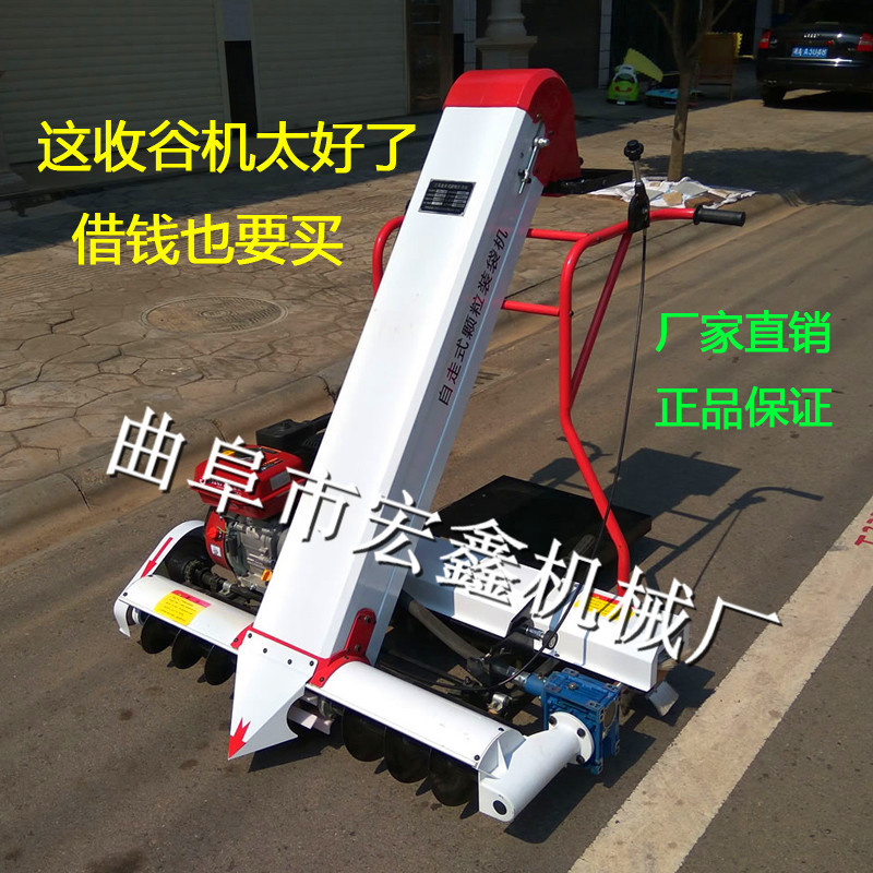 TB1up4dNpXXXXbzXFXXXXXXXXXX_!!