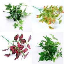 ֲپGֲ͏dbGֲbˇG