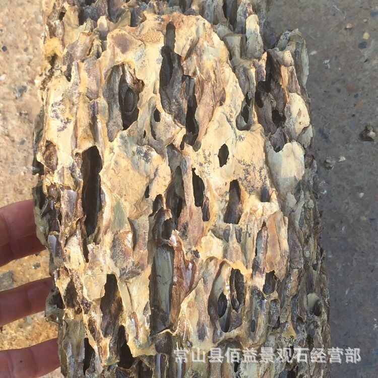 水族造景松皮石天然龙骨石盆景石吸水石园林石笋石造景石-阿里巴巴