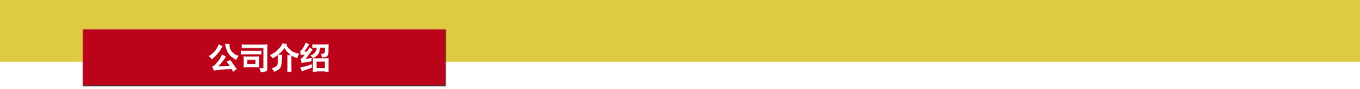 公司介紹