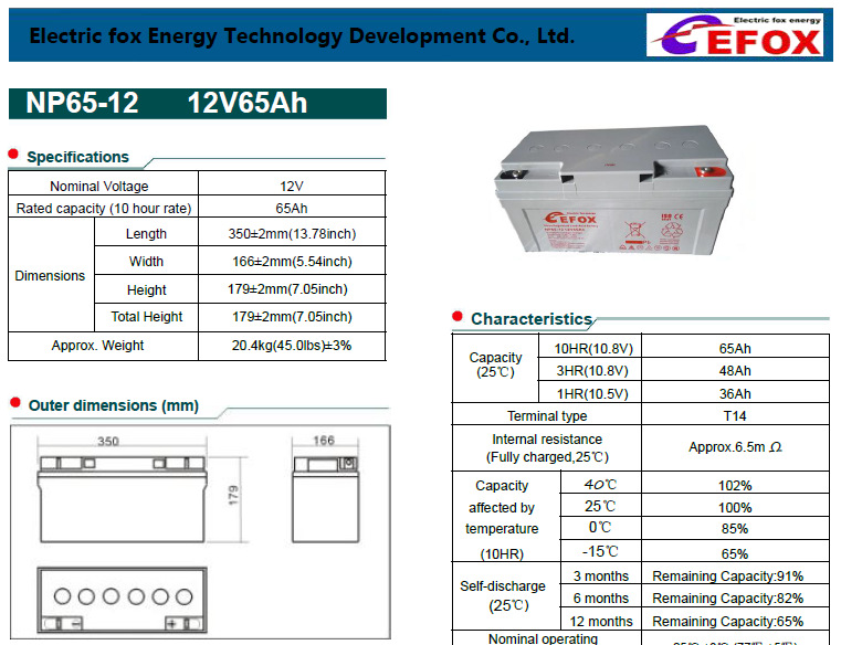 12V65参数1