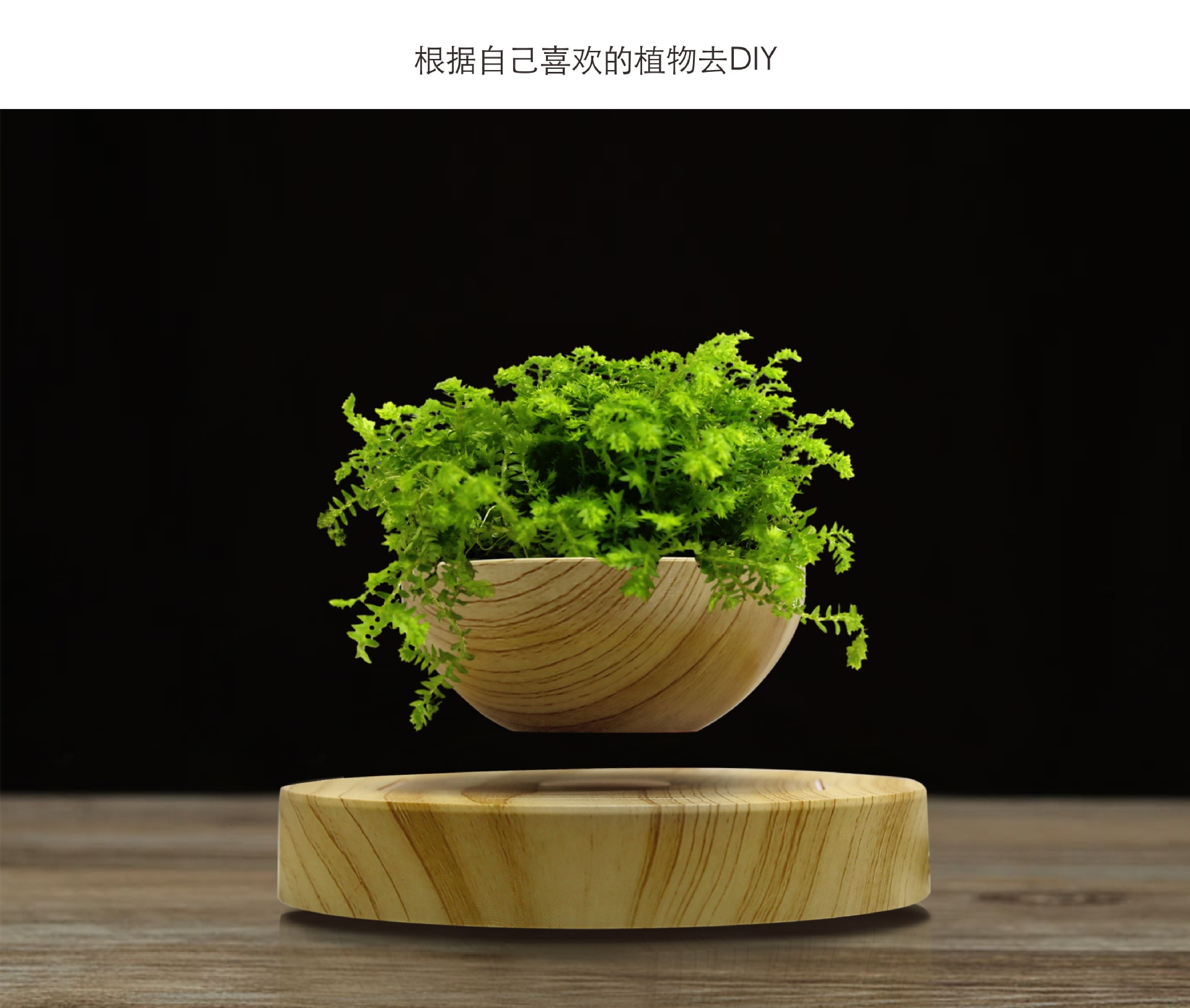 小木纹盆栽 3